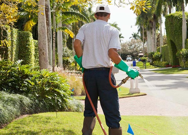 About Orwell VT Pest Control Pros